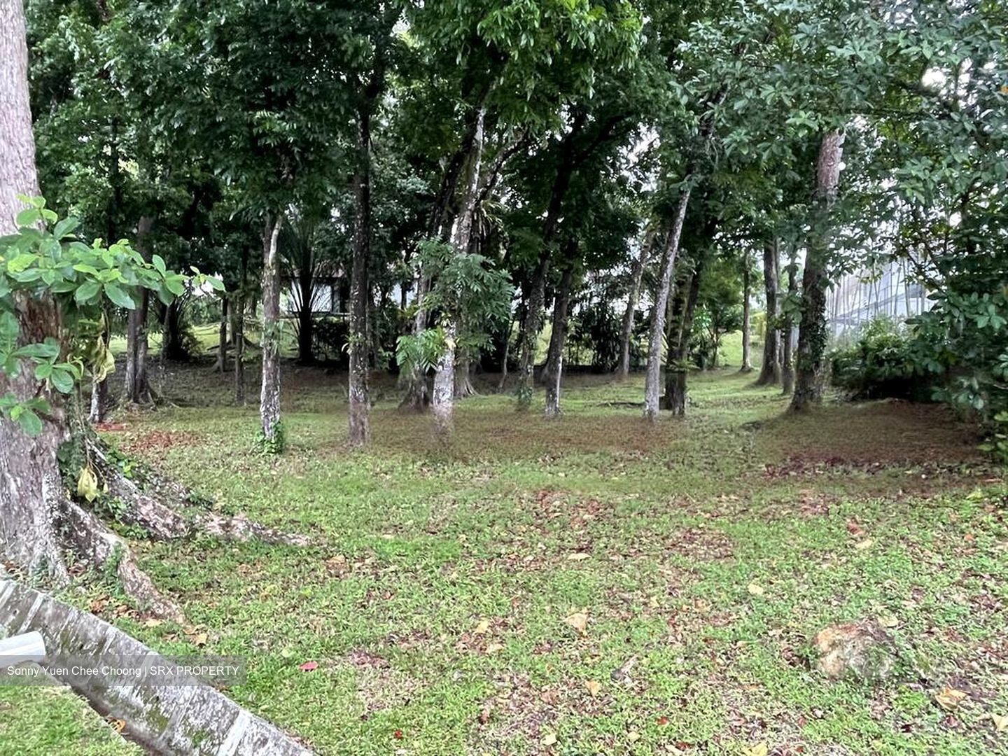 Watten Estate (D11), Detached #461356431